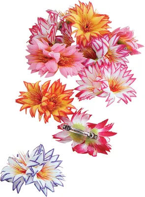 Produktbild von Blumen Haarspangen Kostümzubehör