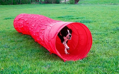 Produktbild von Kerbl Dog Agility Tunnel - 5 m