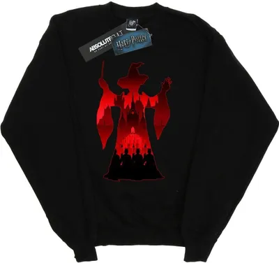 Zdjęcie produktu dla Harry Potter – bluza damska BI20476 (L) (czarna)