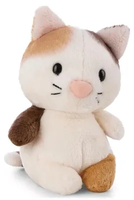 Produktbild von NICI Kuscheltier Katze in Geschenkbox