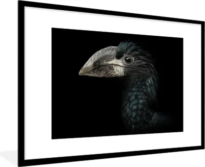 Produktbild von MuchoWow® Gerahmtes Poster Vogel - Porträt - Hornvogel - Schwarz - Tiere 90x60 cm - Poster mit Schwarzem Bilderrahmen Wandposter Rahmen Foto Bilder - Wanddekoration - Fotos
