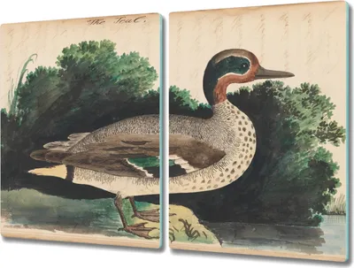 Produktbild von Coloray Herdabdeckplatte 2x40x52 cm Schneidebrett Kochplattenabdeckung Küchenbrett Hackbrett - Vogel Zeichnung