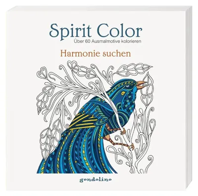 Obrázok produktu pre Spirit Color: Hľadanie harmónie