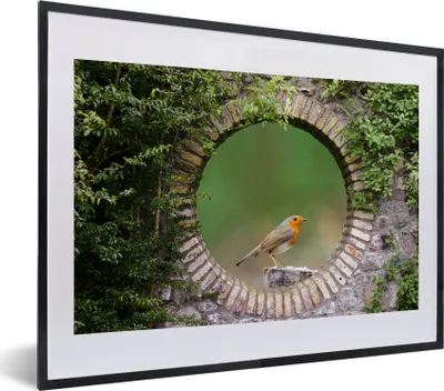 Produktbild von MuchoWow® Gerahmtes Poster Vogel - Durchblick - Rotkehlchen 40x30 cm - Poster mit Schwarzem Bilderrahmen Wandposter Rahmen Foto Bilder - Bilderrahmen - Poster im Rahmen