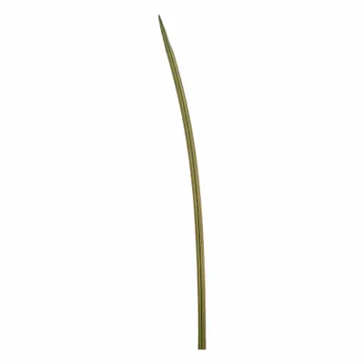 Immagine prodotto di Foglia di spada 91 Fiore