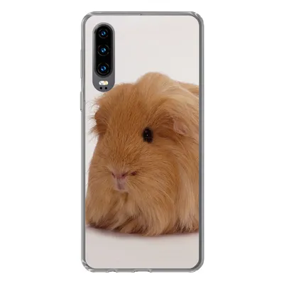 Produktbild von MuchoWow® Handyhülle Schutzhülle Hülle für Huawei P30 Sheltie-Meerschweinchen Silikon Softcase Handy Hülle - Kartenbesitzer