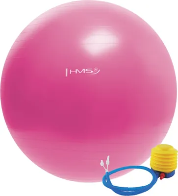 Produktbild von Gymnastikball HMS YB01 55 cm, rosa