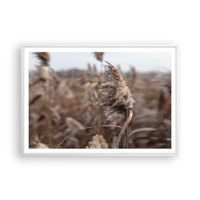 Produktbild von Gerahmtes Poster - Weißer Rahmen - Boho Ähren Gras - 100x70 cm - Wand Bild - Wanddeko - Wandbilder - Kunstposter - Wandposter - Bilderrahmen - Bilder - Kunstdruck - Wanddekoration - P2WAA100x70-4763