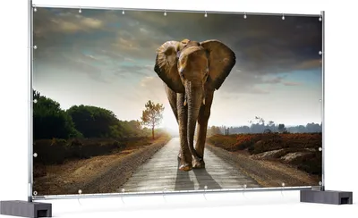 Produktbild von Wallario XXL Outdoor-Poster für Garten oder Balkon, Motiv Elefant bei Sonnenaufgang in Afrika, in ca. 340 x 173 cm