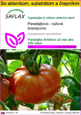 Obrázok produktu pre SAFLAX Kultivačný set - Paradajkovo - ružové brandyvíno - Lycopersicon esculentum - 10 Semená - S mini skleníkom, pestovateľským substrátom a 2 črepníkmi