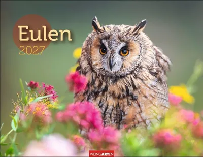 Produktbild von Wandkalender 2027 mit Fotos von Greifvögeln - 44 x 34 cm