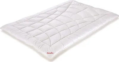 Produktbild von Paradies Winter Bettdecke 135x200 cm Dala Bio Premium Leichtigkeit und Volumen