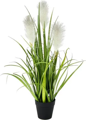 Immagine prodotto di Pianta artificiale per la decorazione di interni ed esterni