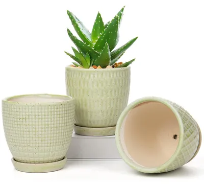 Image de Ensemble de 3 pots en céramique avec trou de drainage, idéal pour les plantes succulentes