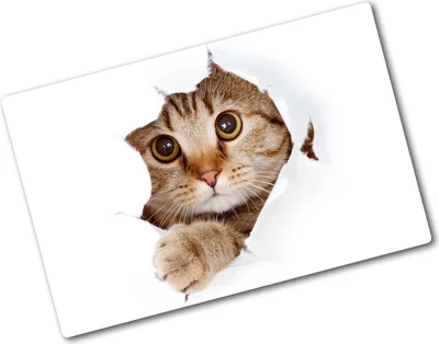 Produktbild von Tulup Glas Herdabdeckplatte - 80x52 cm - Glaskeramikkochfeld-Abdeckung Spritzschutz Glasabdeckplatte - Einteilig - Tiere - Katze - Beige