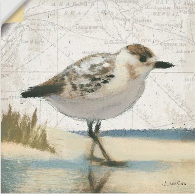 Produktbild von ARTland Wandbild, selbstklebend Möwe I Größe: 40x40 cm