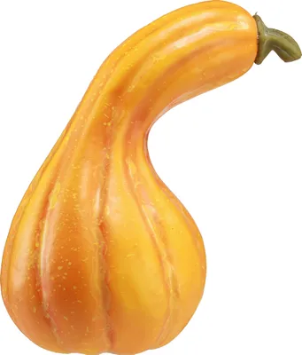 Produktbild von Zierkürbis Deko Künstlicher Kürbis Herbst Deko Halloween Tischdekoration Orange Ø13,5cm H25cm