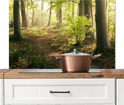 Obrázok produktu pre KitchenYeah® Splashback kuchyňa - kuchynský splashback - ochrana steny sporáka a drezu - les - stromy - cesta - slnko - rastliny - zeleň - príroda 100x65 - hliníkový dibond (alternatíva skleneného splashbacku) - H