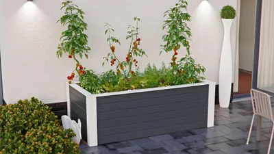 Produktbild von Hochbeet 200x100x70 cm Fichte anthrazit/weiß
