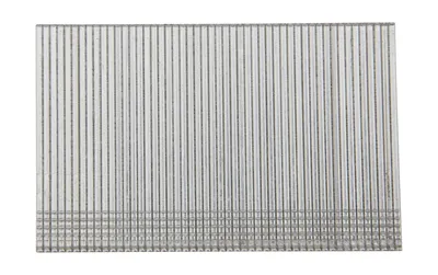 Image de Boîte de 2500 Pointes 16Ga DEWALT DNBSB1664Z 1,2x64mm