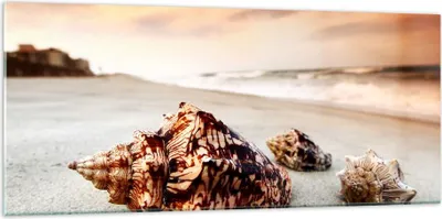 Produktbild von Bilder auf glas - Strand schön karibisch bunt - 120x50cm - Glasbilder - Wandbilder - Kunstdruck - zum Aufhängen bereit - Wanddekoration aus Glas - Glas Bilder - Wandbild auf Glas - GAB120x50-2123