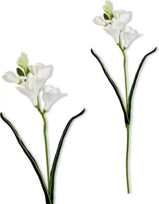 Immagine prodotto di Albero artificiale bianco 59 cm