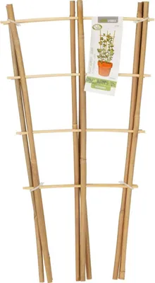Produktbild von Bambus-Pflanzenstütze PROGARDEN – Leiter 45 cm, 3 Stück