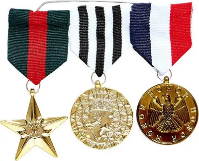 Produktbild von Armee Orden Abzeichen - 3er Set - Veteran Dienstgradabzeichen