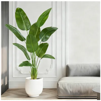 Image de Fleur d'oiseau de paradis artificielle, bananier artificiel pour la décoration d'intérieur - Grande plante d'intérieur artificielle à 10 tiges (1 pot noir, 180 cm)