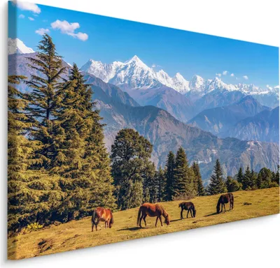 Zdjęcie produktu dla Obraz Dekoracja z modnym efektem 3D do jadalni konie góry widok KRAJOBRAZ 90x60cm