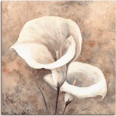 Produktbild von ARTland Leinwandbild Klassische Callas Größe: 30x30 cm