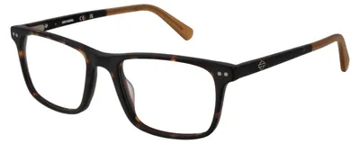 Imagen del producto de HARLEY DAVIDSON EYEWEAR Monturas de gafas HD50034 52052