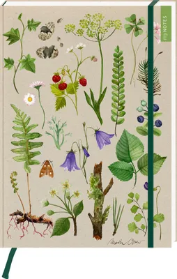 Produktbild von myNOTES Papeterie: Notizbuch A4 Naturschätze