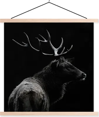 Produktbild von MuchoWow® Textilposter Hirsch - Schwarz - Porträt - Geweih - Tiere 40x40 cm mit holzfarbenen Rahmen - Posterleiste