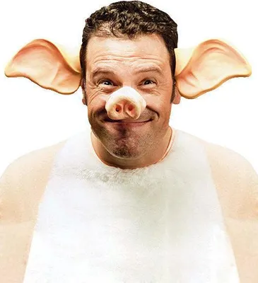 Produktbild von Schweine-Ohren Haarreif Kostümzubehör rosa - Einheitsgröße