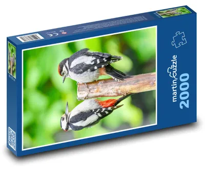 Obrázek produktu pro martinpuzzle - Puzzle 2000 - Strakapoud velký