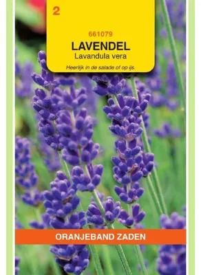 Imagen del producto de Oranjeband Zaden: Semillas de lavanda, hierbas aromáticas - 1 paquete de semillas