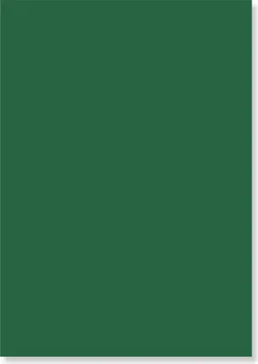 Produktbild von POLI-TAPE POLI-FLEX PREMIUM Flexfolie, A4 - Farbe: 404 grün