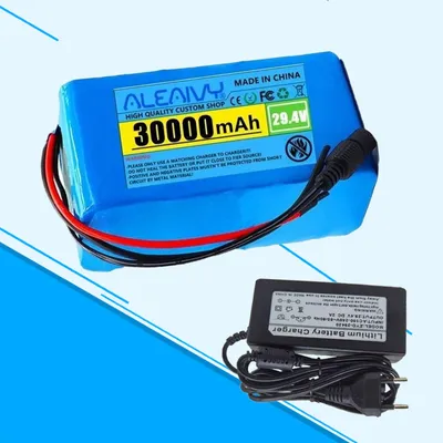 Image de batterie 24 V 30Ah 7S3P E-Bike Batterie lithium-ion pour E-Bike/E-Scooter/Moto, avec chargeur