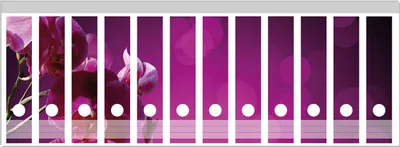 Produktbild von Wallario Ordnerrücken Sticker, selbstklebend für breite Ordner, 12 Stück, Motiv Rosafarbene Orchidee  Blüten in pink