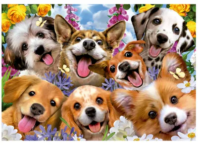 Immagine prodotto di Welpen Selfie-Puzzle 1000Stü ck