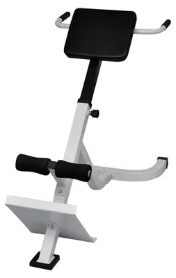 Imagen del producto de vidaXL: Entrenador para la espalda y el abdomen