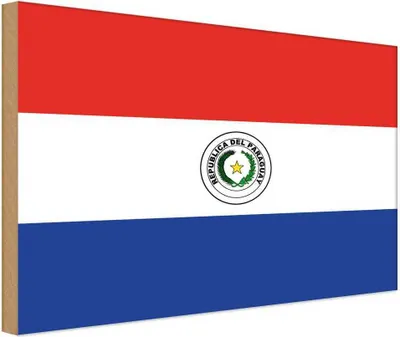 Produktbild von vianmo Holzschild 12x18 cm Paraguays Paraguay Flagge Fahne Wappen