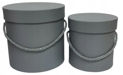Produktbild von Vipolimex Flower Box 2er Set Blumen Deko Hellgrau