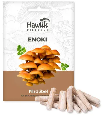 Produktbild von Hawlik Pilzbrut Enoki Dübel – 20 Pilzdübel, Flammulina velutipes Pilze anbauen auf Holzstamm