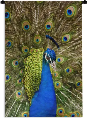 Produktbild von MuchoWow® Wandteppich Wandbehang Pfau - Federn - Schnabel 90x135 cm Tapisserie Dekoration Wandtuch - Baumwolle - Wandskulptur