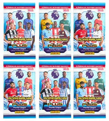 Image de 6 packs of Premier League PLUS 2025 Panini Football Cards, 48 cards