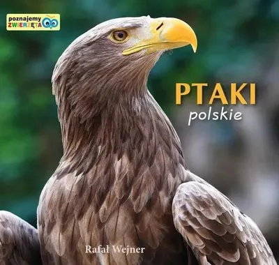 Productafbeelding van Poznajemy zwierzęta. Ptaki polskie LIWONA - Rafał Wejner