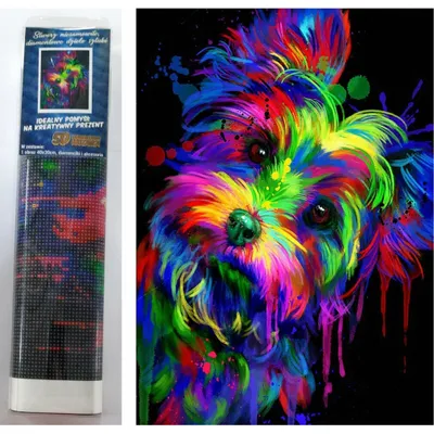 Produktbild von Norimpex Diamant-Malerei Yorkshire Terrier 30x40cm