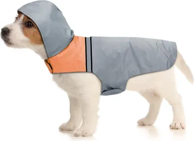 Produktbild von Hooded Raincoat für Hunde - Ultraleicht, Atmungsaktiv, Reflektierend (S)